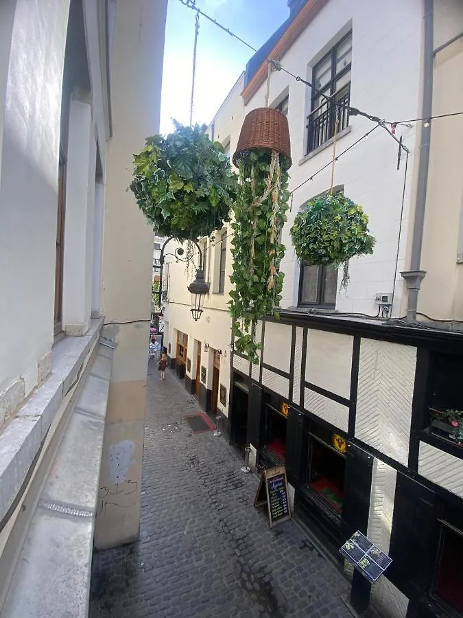 Apartament Bruselas Bélgica